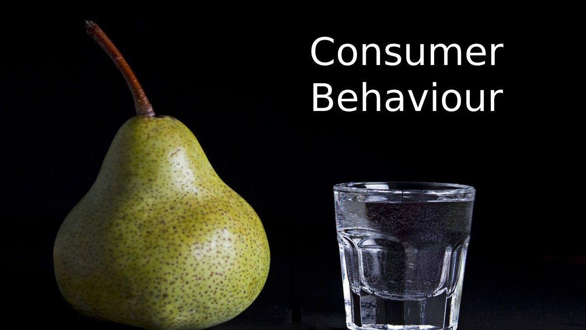 What Is Consumer Behaviour? – Importance, And More