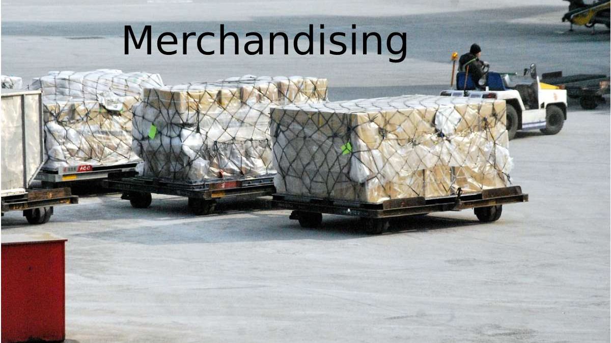 What  Is the Difference  A Merchandising And  Service Company