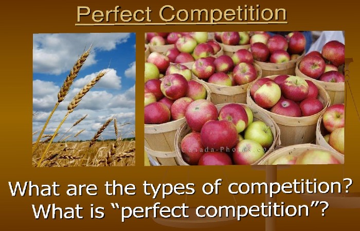 perfect competition