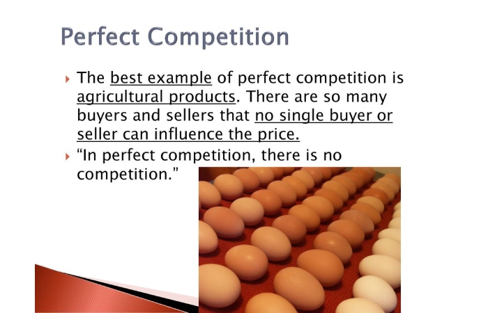 perfect competition