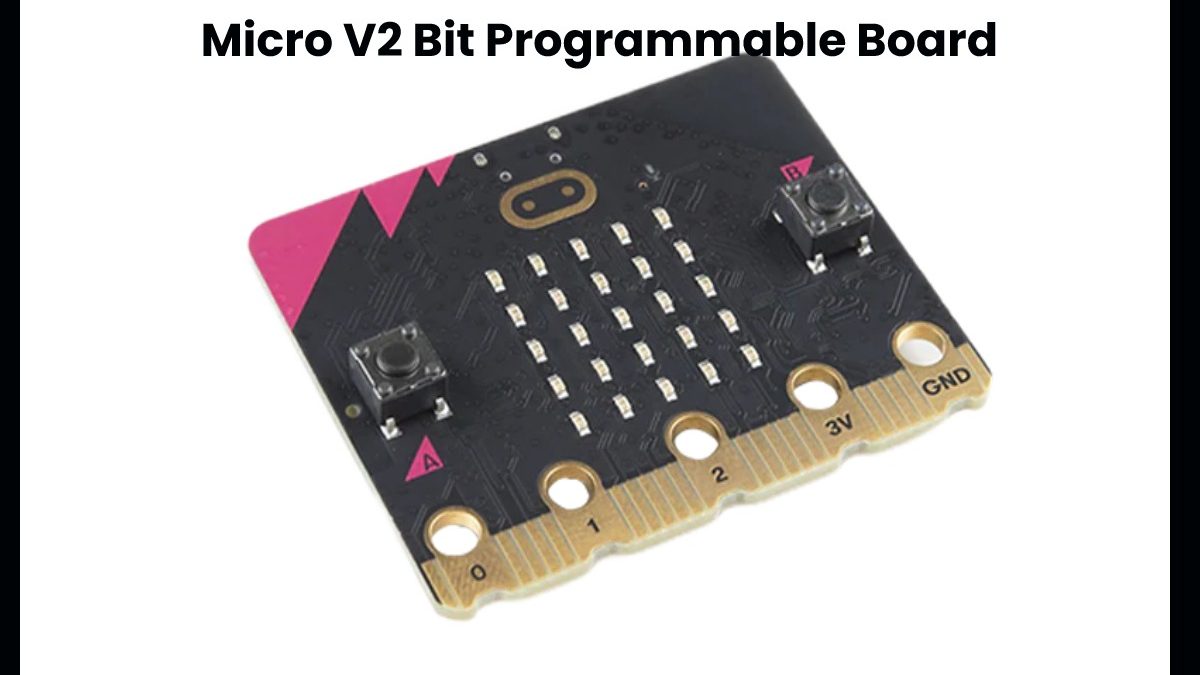The New Version of the Micro V2 Bit Programmable Board