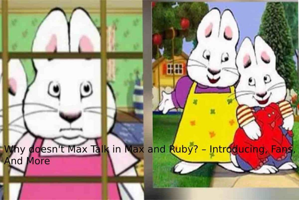 why doesn't max talk in max and ruby