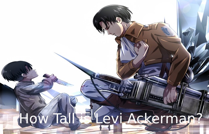How Tall is Levi Ackerman?