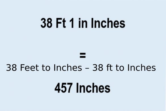 38 Feet to Inches – 38 ft to Inches