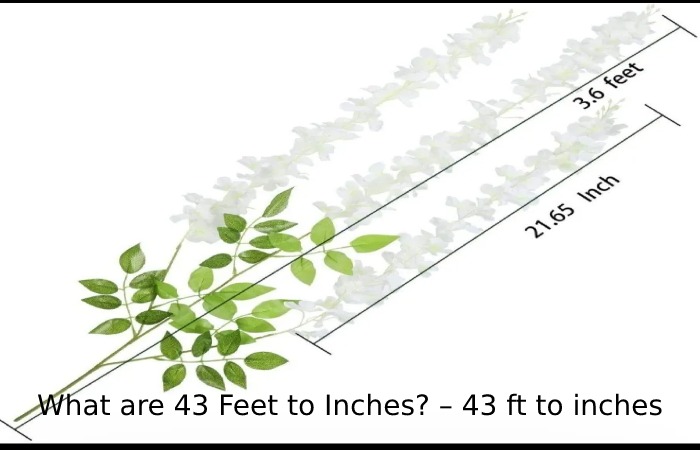 What are 43 Feet to Inches? – 43 ft to inches