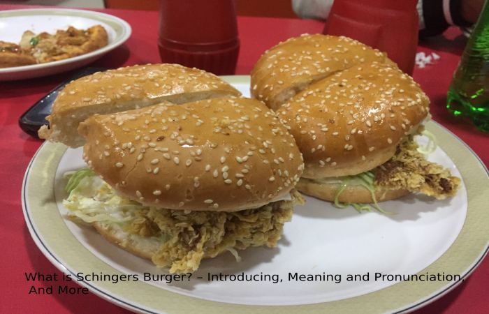 What is Schingers Burger? – Introducing, Meaning and Pronunciation, And More