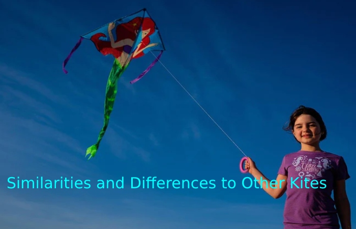Similarities and Differences to Other Kites