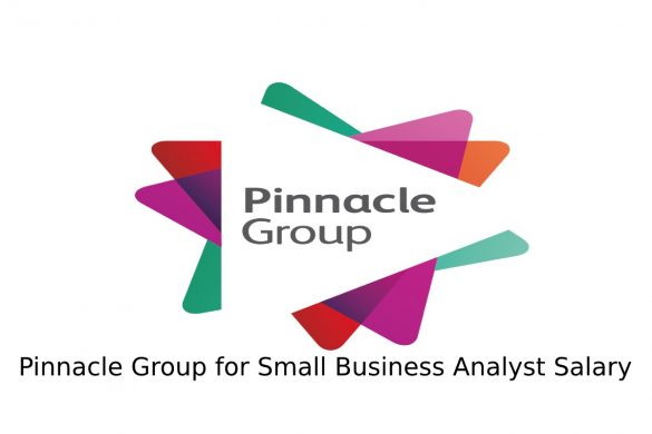 Pinnacle Group Business Analyst Salary