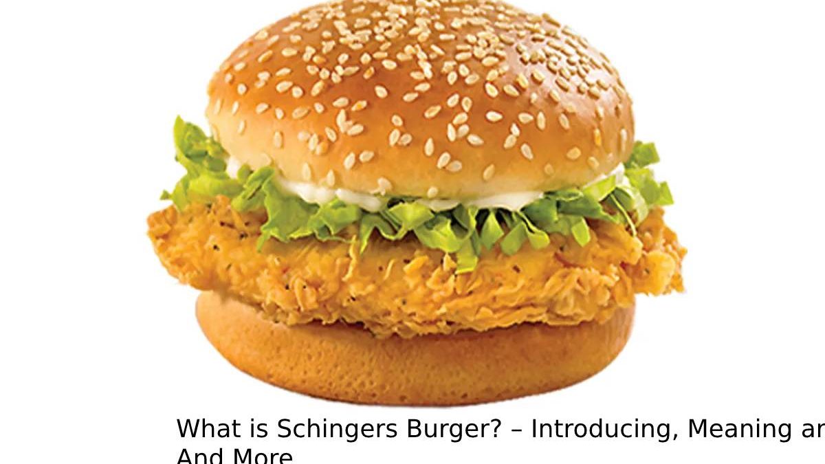 What is Schingers Burger? – Introducing, Meaning and Pronunciation, And More