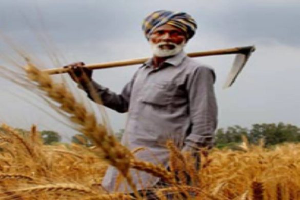 Pm kisan Beneficiary List Village Wise