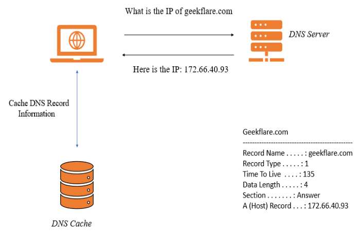DNS Cache