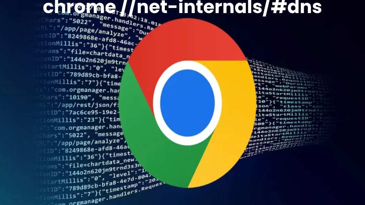 chrome //net-internals/#dns – Ways to Resolve it