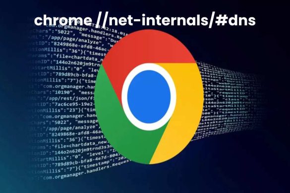 chrome //net-internals/#dns